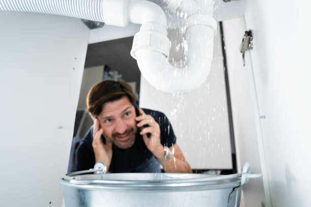 Best Sprinkler Systems  in Cross Plains, TN