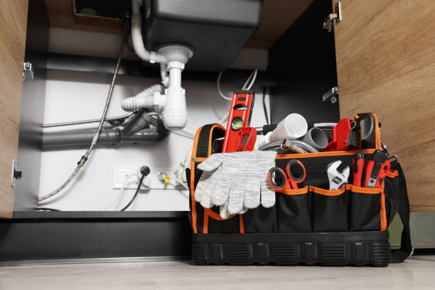 Best Plumbing Inspection Services  in Cross Plains, TN