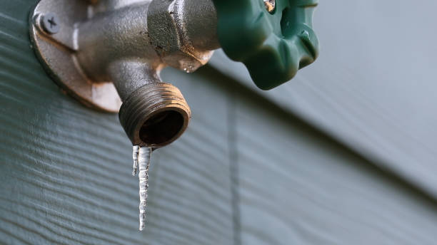 Best Leak Detection Services  in Cross Plains, TN