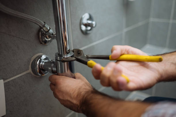 Best Local Plumber Services  in Cross Plains, TN